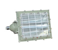 BTd52系列防爆泛光燈（‖B、‖C）